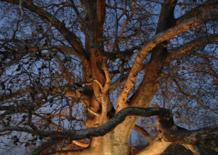 Grand Heykel Hotel Bursa